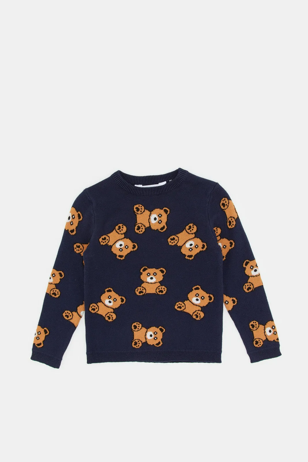 Infant Boys Blue Bear Printed Pullover