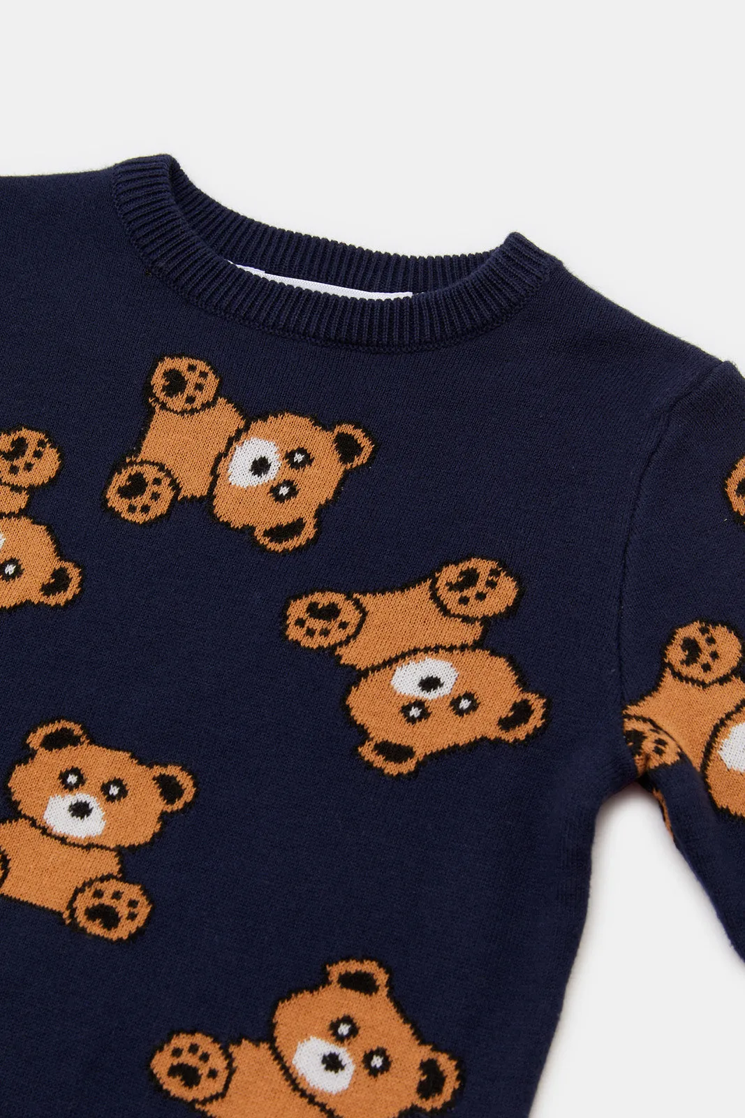 Infant Boys Blue Bear Printed Pullover