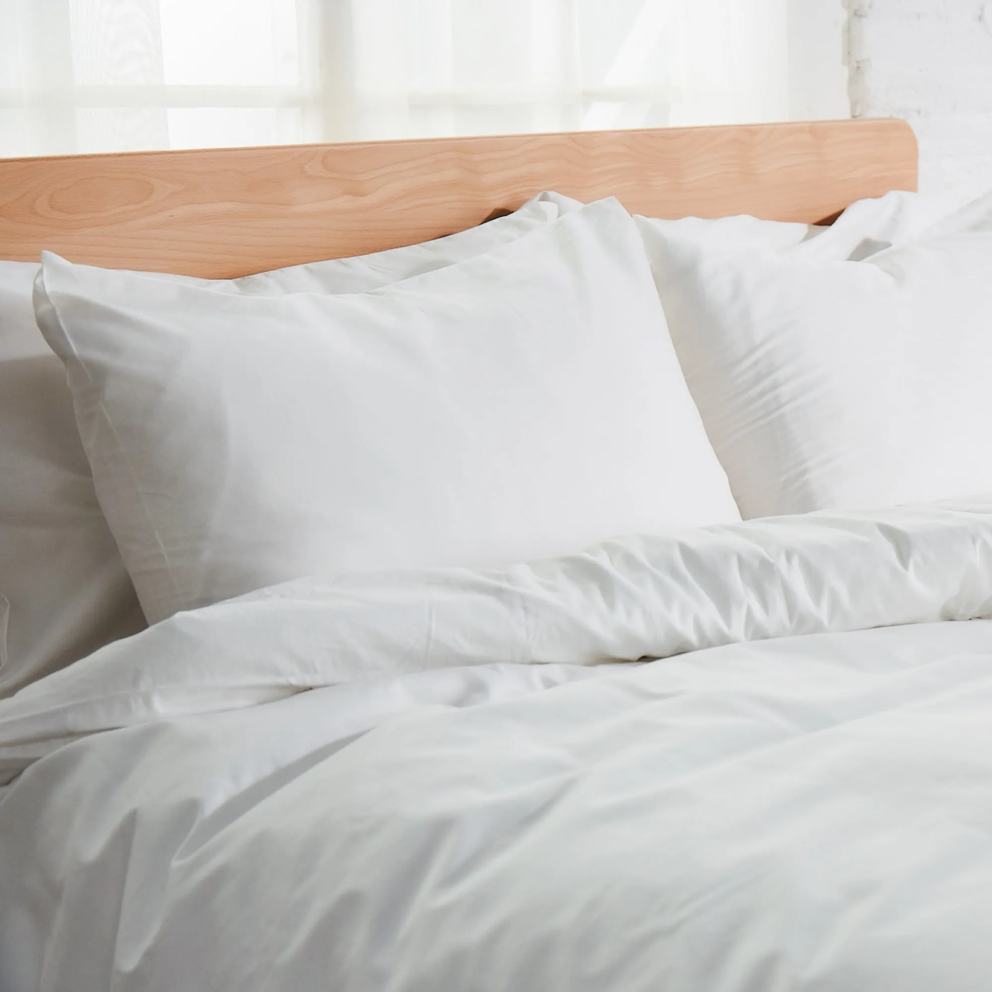 Percale Organic Cotton Shams 270TC