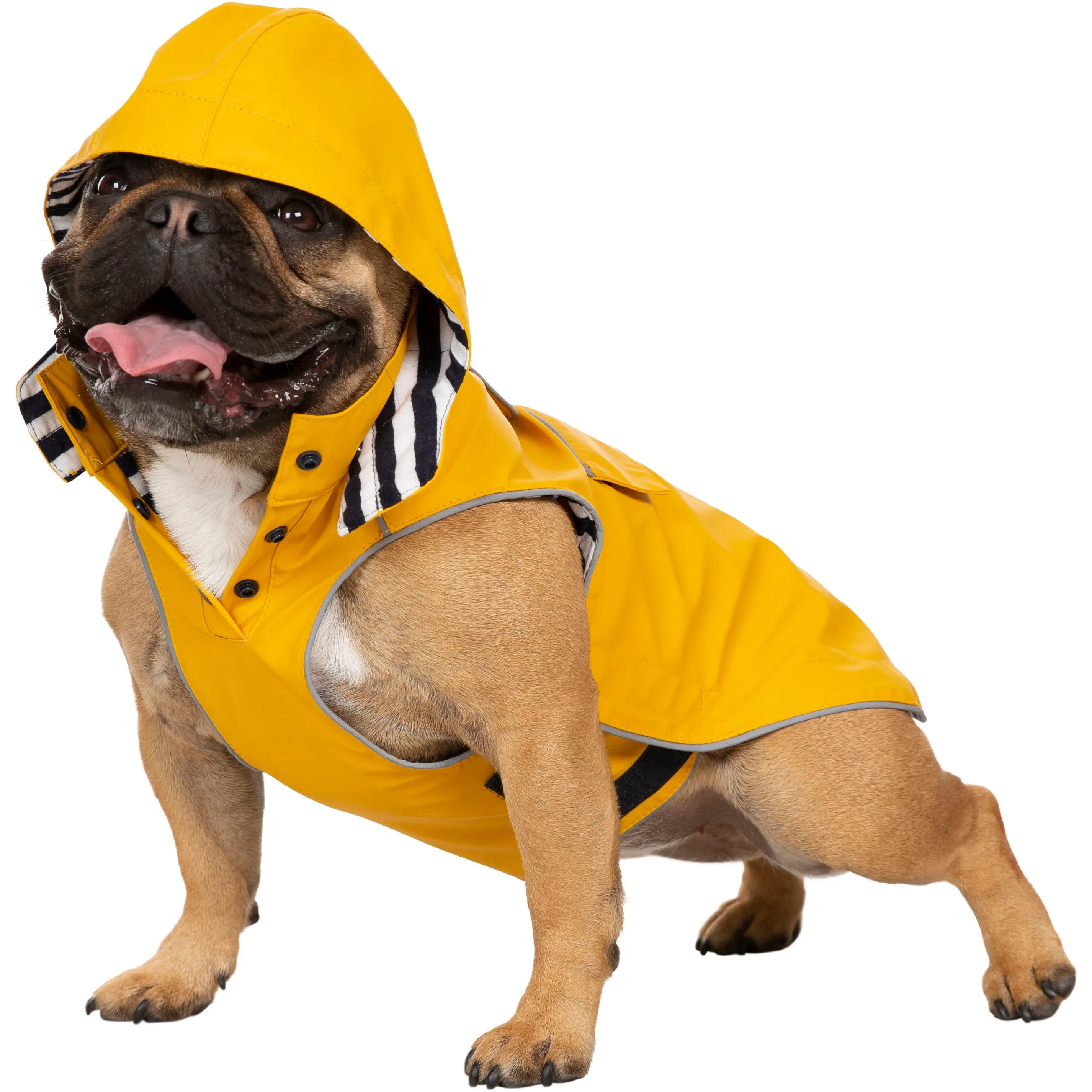 Seadog Dog Raincoat in Sunshine Yellow