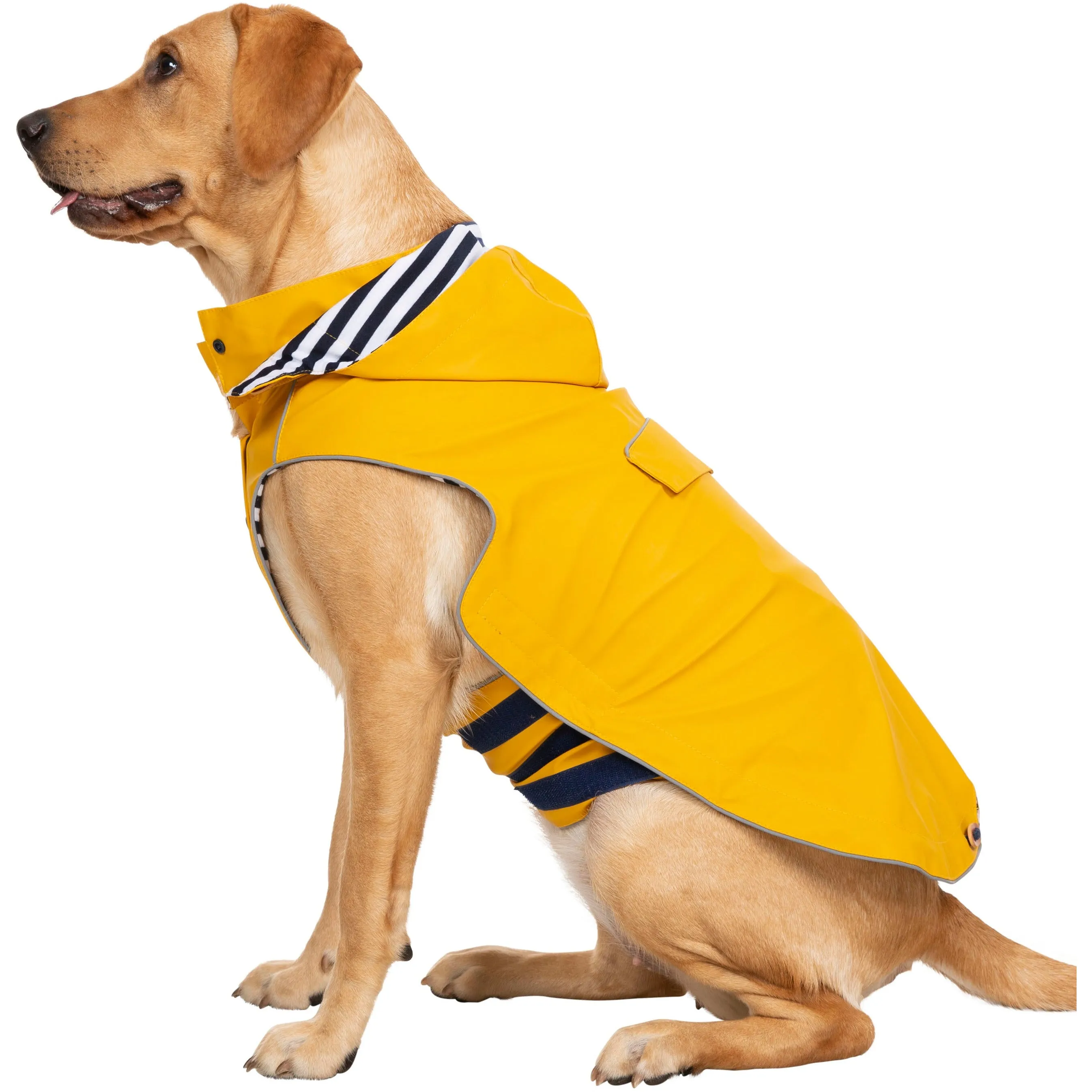 Seadog Dog Raincoat in Sunshine Yellow