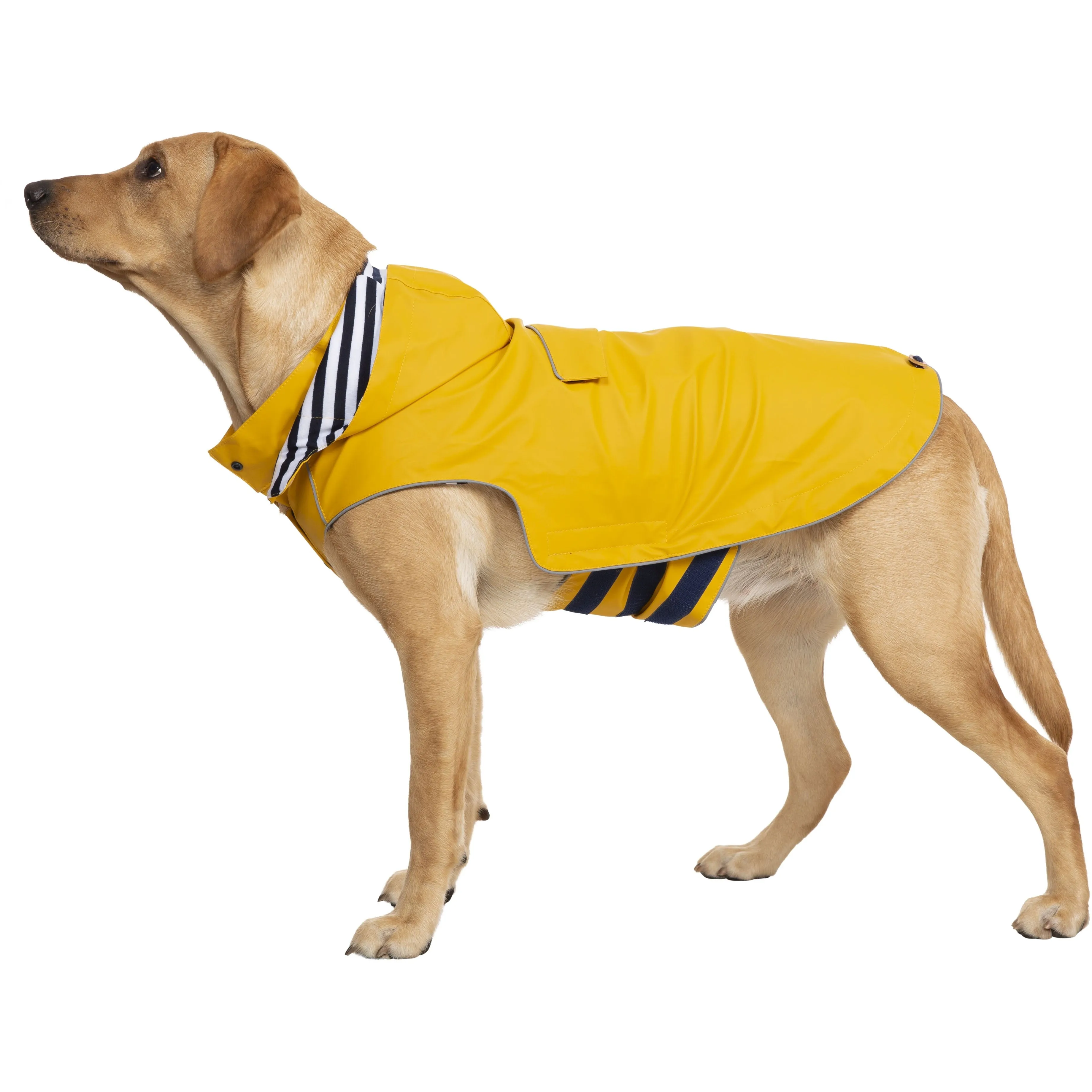 Seadog Dog Raincoat in Sunshine Yellow