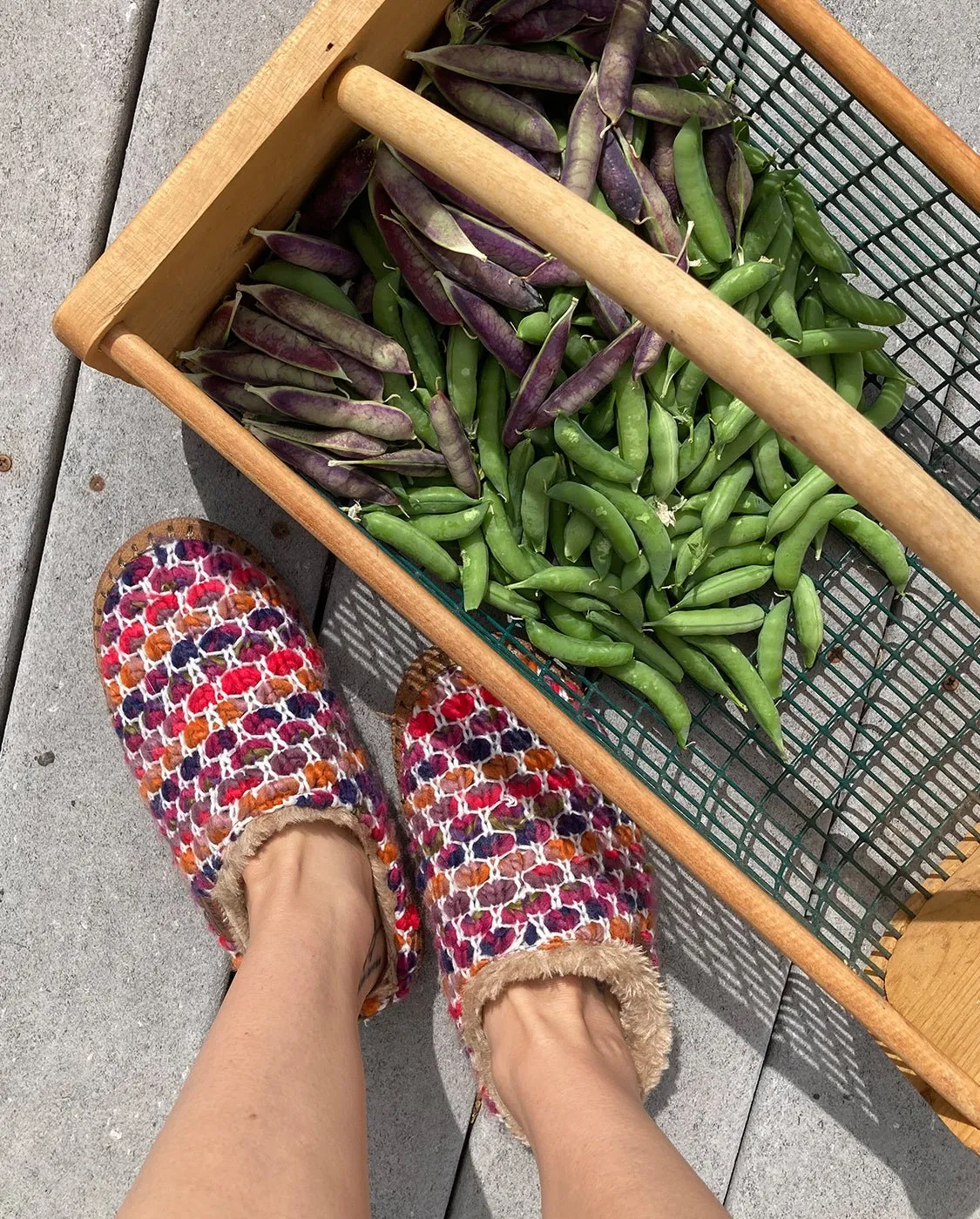 Women's Evelyn Slipper - Berry